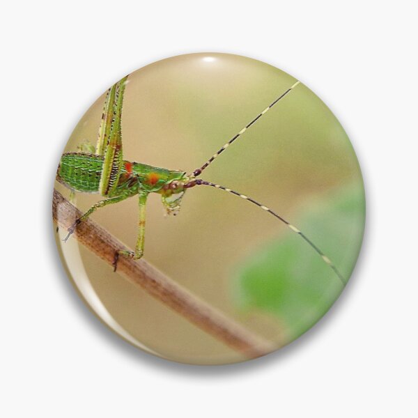 Item preview, Katydid in Spring designed and sold by MaddoxWorks.