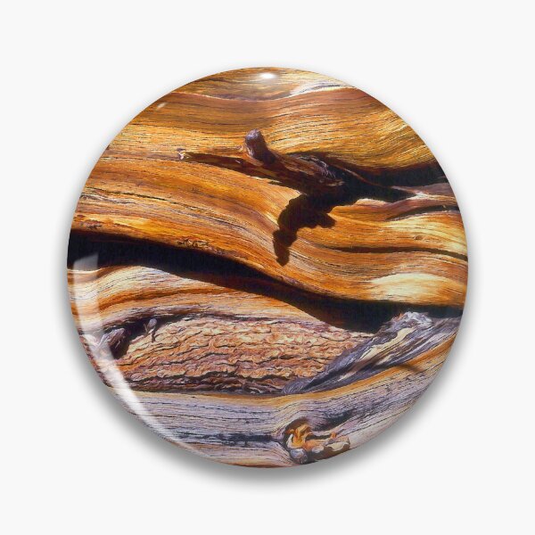 Item preview, "Bristlecone Pine Detail" designed and sold by Dean Uhlinger.