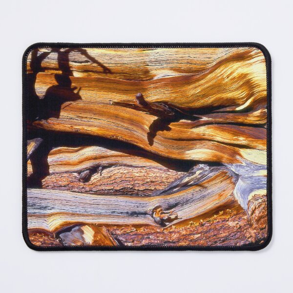 Item preview, "Bristlecone Pine Detail" designed and sold by Dean Uhlinger.