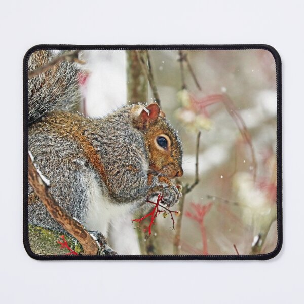 Item preview, All Mine designed and sold by Deb Oppermann.