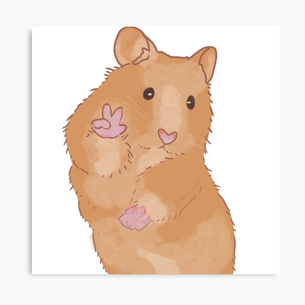 Meme hamster Photographic Print for Sale by Flybunny | Redbubble