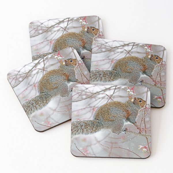 Item preview, Snowy Squirrel designed and sold by Deb Oppermann.