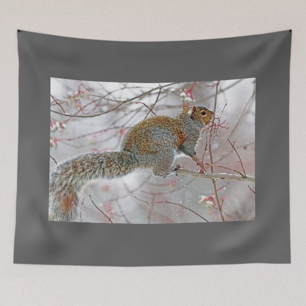 Item preview, Snowy Squirrel designed and sold by Deb Oppermann.