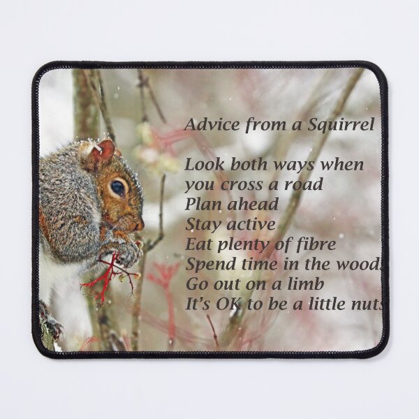 Item preview, Squirrel Advice designed and sold by Deb Oppermann.