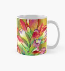 Castilleja Indívisa Tasse (Standard)