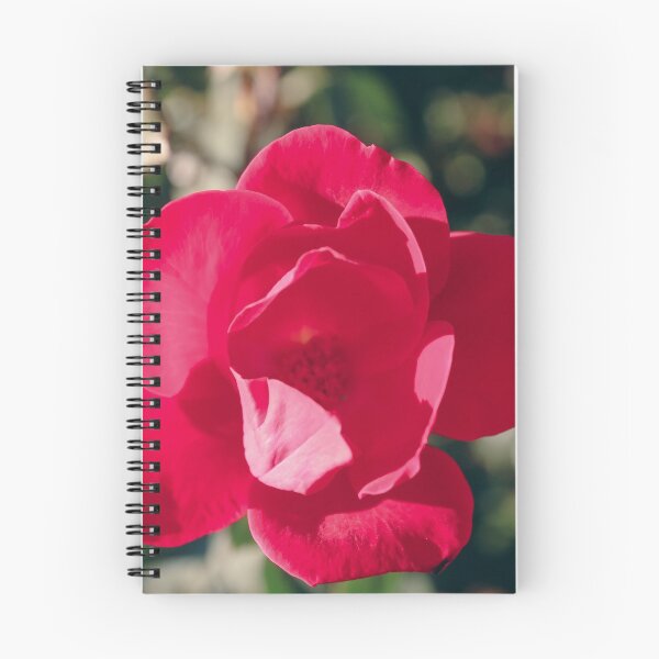 Artikelvorschau, Gartenrose entworfen und verkauft von tiramisumoo.