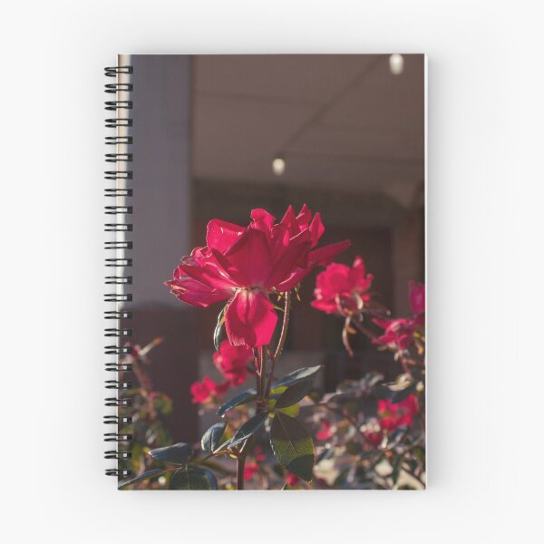 Aperçu de l'œuvre Roses De Jardin créée et vendue par tiramisumoo.