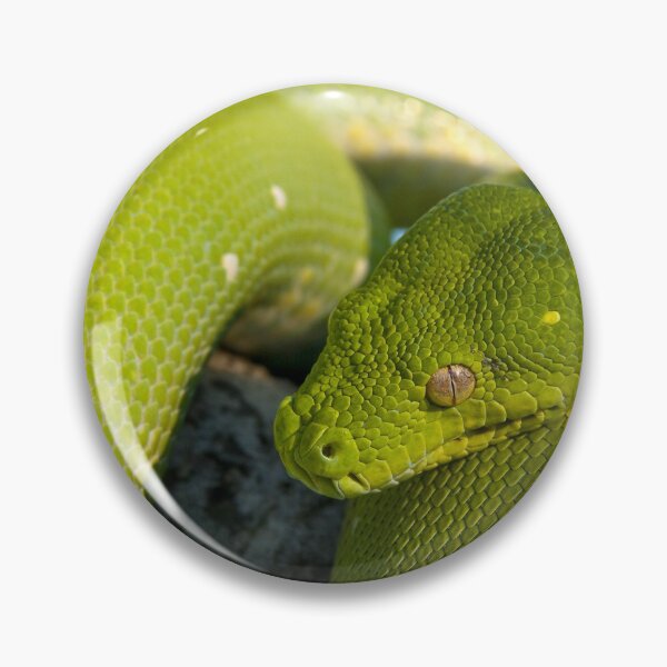 Item preview, Green Tree Python, Australian Reptile designed and sold by Andrew Goodall.