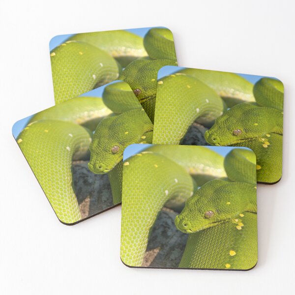 Item preview, Green Tree Python, Australian Reptile designed and sold by Andrew Goodall.