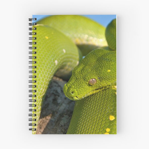Artikelvorschau, Grüner Baumpython, australisches Reptil entworfen und verkauft von Andrew Goodall.