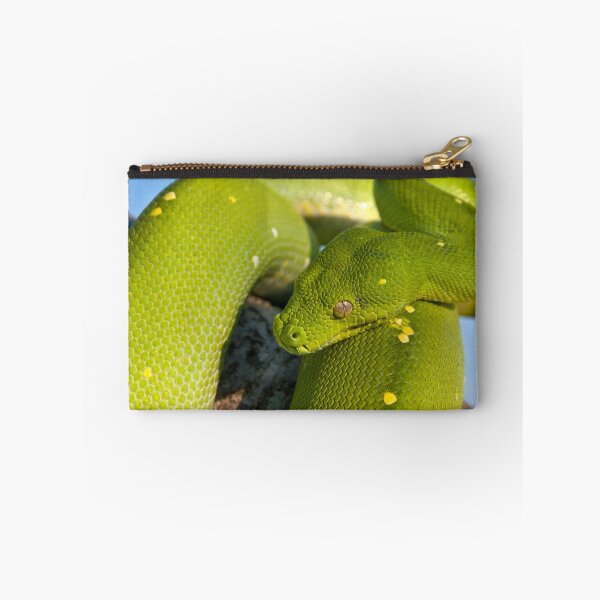 Artikelvorschau, Grüner Baumpython, australisches Reptil entworfen und verkauft von Andrew Goodall.