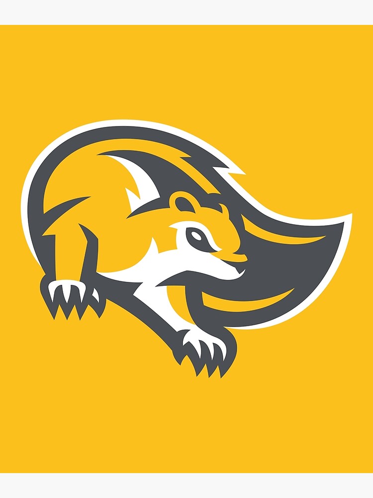 "Mary Baldwin University Fighting Squirrels" Poster by sandangannnn