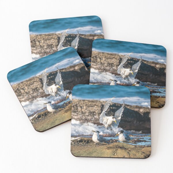 Item preview, Crested Tern - Joining the Party designed and sold by Andrew Goodall.