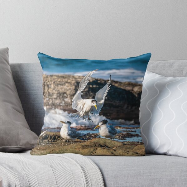 Item preview, Crested Tern - Joining the Party designed and sold by Andrew Goodall.