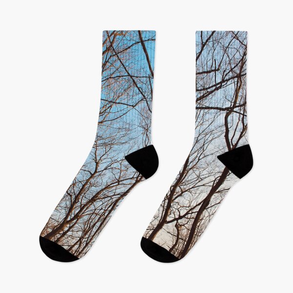 Item preview, Sunlight on the Trees designed and sold by RoseyElisabeth.