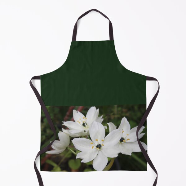 Item preview, Arab's Eye Flower designed and sold by Honey Myrtle Studio.