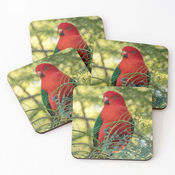 Item preview, King Parrot: Beautiful Birds Of Australia designed and sold by Andrew Goodall.