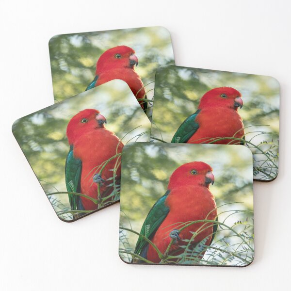 Item preview, Male King Parrot: Birds of Australia designed and sold by Andrew Goodall.