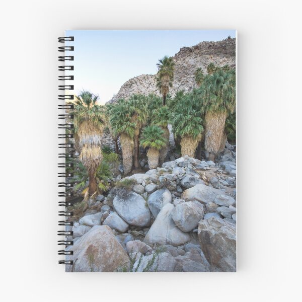 Item preview, California Palms designed and sold by RILEY J MEDIA.