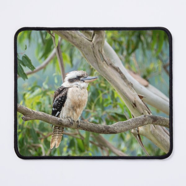 Item preview, Kookaburra - In The Old Gum Tree designed and sold by Andrew Goodall.