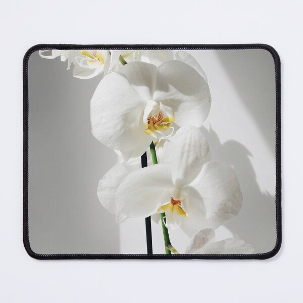 Item preview, Elegant White Orchid Flowers designed and sold by newburyboutique.
