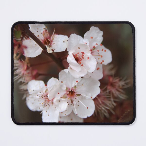 Item preview, The Last Blossoms designed and sold by Honey Myrtle Studio.