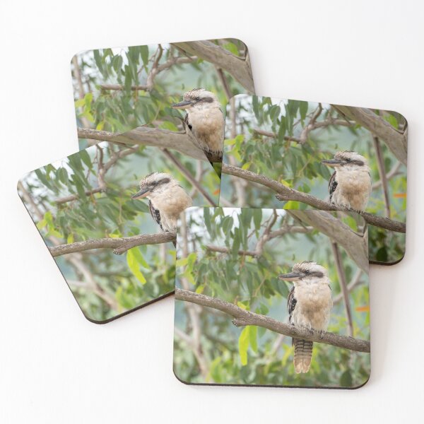 Item preview, Kookaburra: Iconic Aussie Wildlife designed and sold by Andrew Goodall.