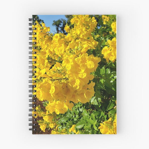 Aperçu de l'œuvre Fleurs jaunes d'été créée et vendue par CG64.