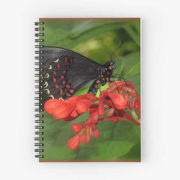 Item preview, Self~Propelled Flowers ~ 2017-5 designed and sold by artisandelimage.