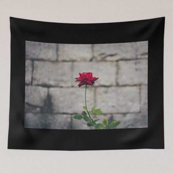 Item preview, Single Red Rose Against a Stone Wall designed and sold by timg58.