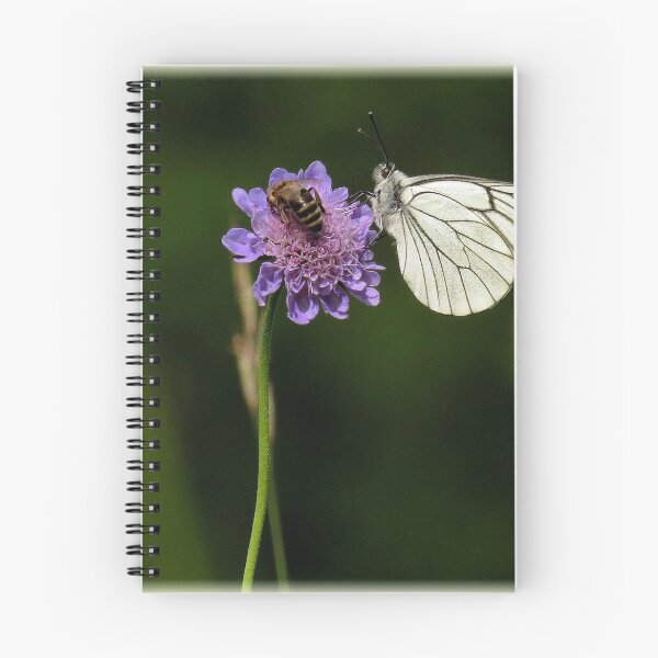 Item preview, Self~Propelled Flowers ~ 2017-12 designed and sold by artisandelimage.