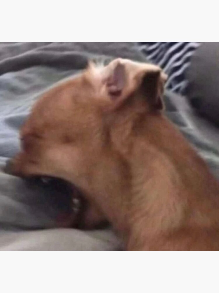 "Screaming into pillow dog meme" Sticker for Sale by cozyclown Redbubble