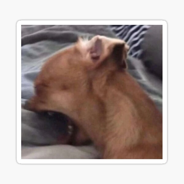 "Screaming into pillow dog meme" Sticker for Sale by cozyclown Redbubble