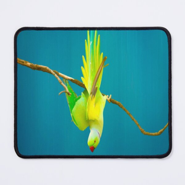 Item preview, Indian Ringneck Parakeet designed and sold by oxyten.