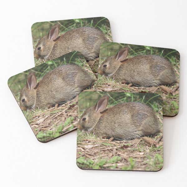 Item preview, Wild bunny photography designed and sold by LadyCottonTail.