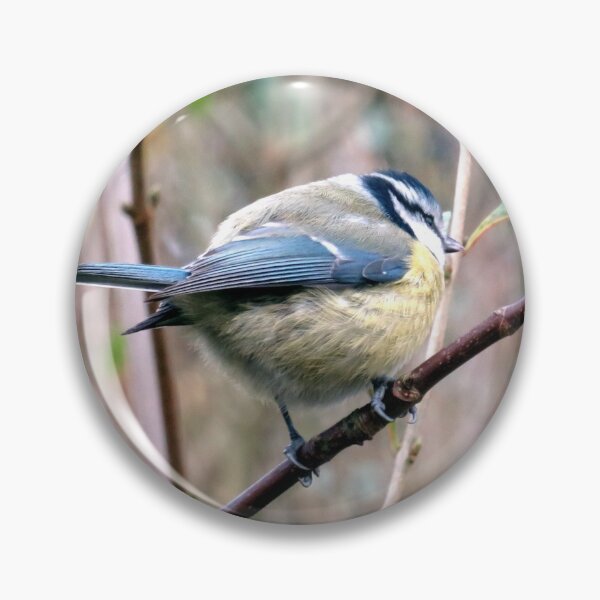 Item preview, blue tit designed and sold by KathleenDawson.