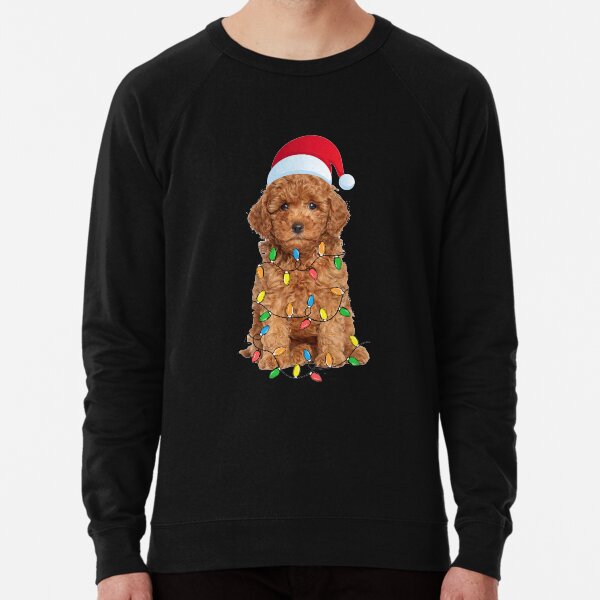 goldendoodle sweater