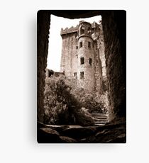 Blarney Castle, Ireland Canvas Print