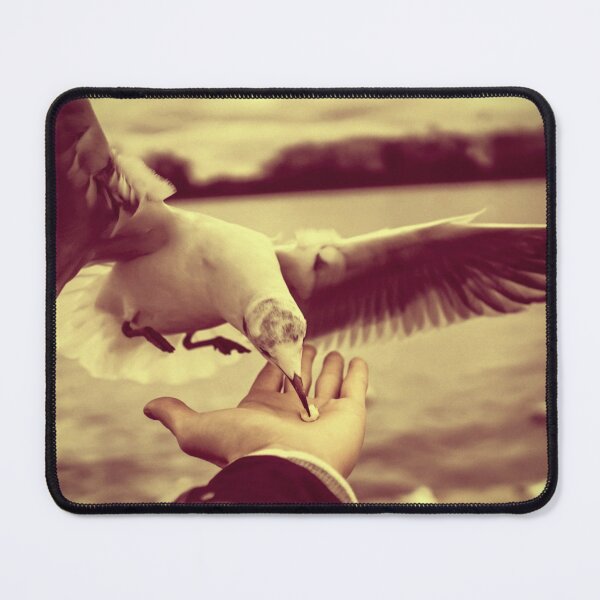 Item preview, Care designed and sold by ImageEvolution.
