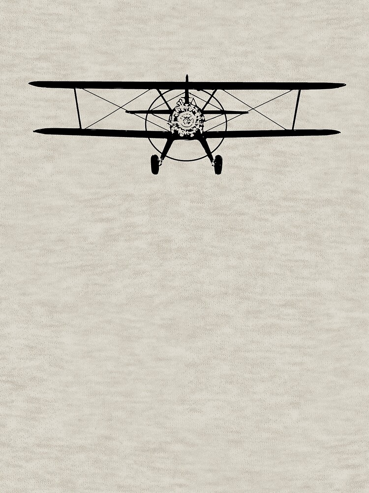 Stearman Biplane Head-On by cranha