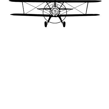 Artwork thumbnail, Stearman Biplane Head-On by cranha