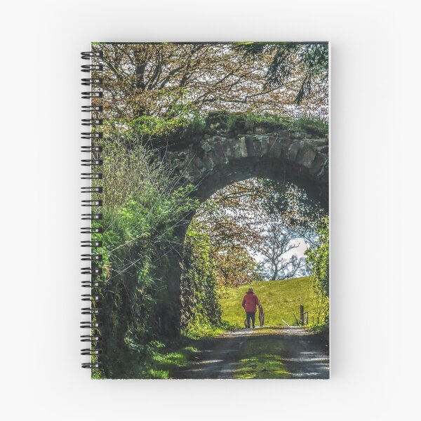 Item preview, Morning Walk - Fermanagh, Northern Ireland designed and sold by Lexa Harpell.