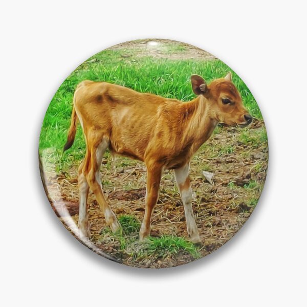 Artikelvorschau, Banteng-Kalb im Bali-Kuh-Feld-Baum entworfen und verkauft von cashewdays.