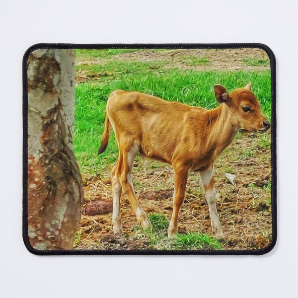 Item preview, Banteng Calf In Bali Cow Field Tree designed and sold by cashewdays.