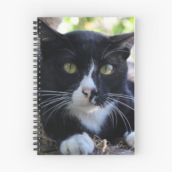 Item preview, Black and white cat designed and sold by demor44.