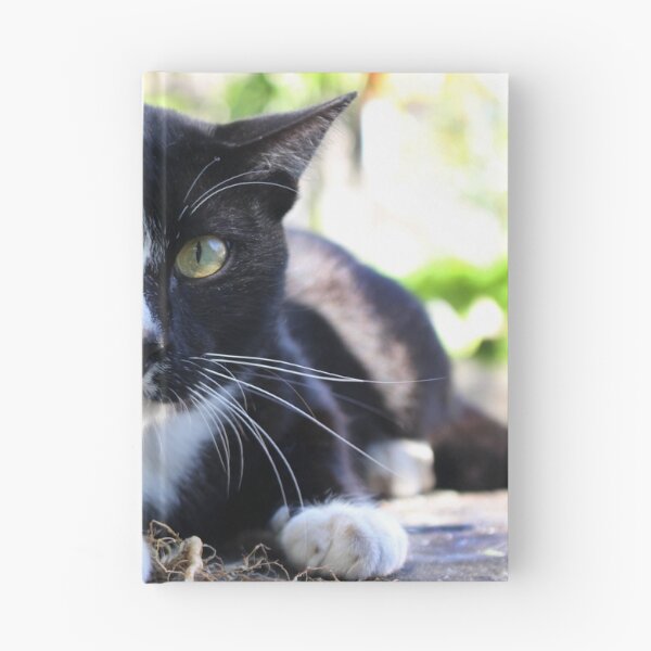 Item preview, Black and white cat designed and sold by demor44.