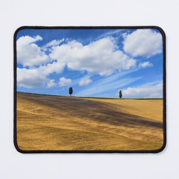 Item preview, Two trees in Val D Orcia designed and sold by pietrofoto.
