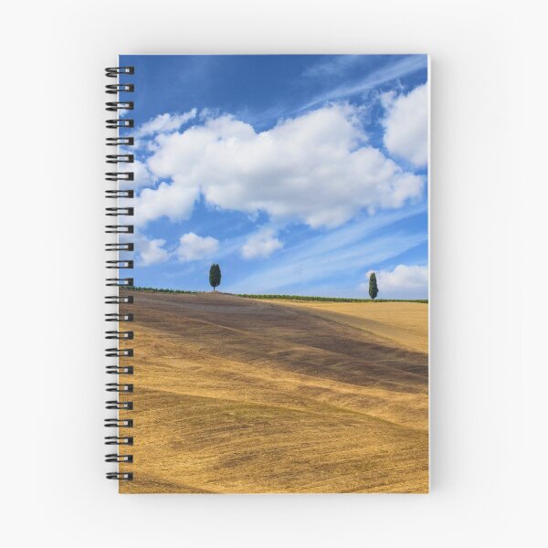 Item preview, Two trees in Val D Orcia designed and sold by pietrofoto.