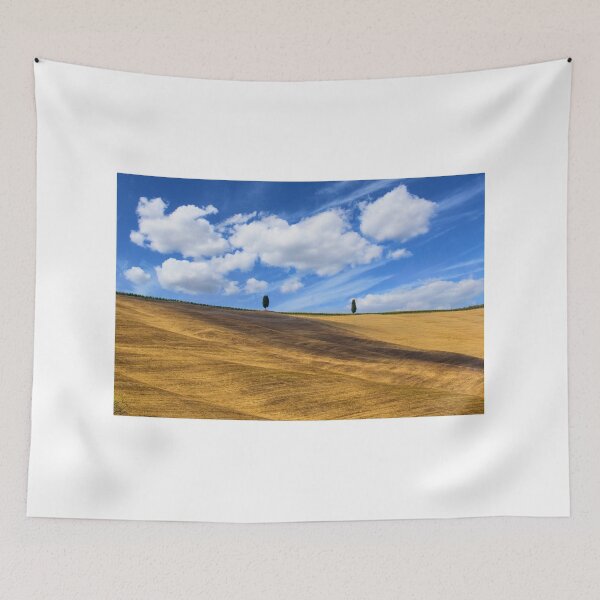 Item preview, Two trees in Val D Orcia designed and sold by pietrofoto.