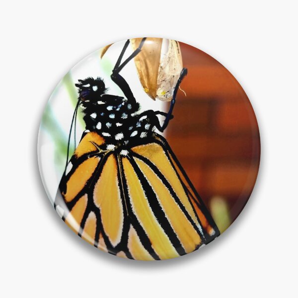 Item preview, A BUTTERFLY WAS BORN designed and sold by Steffi August.